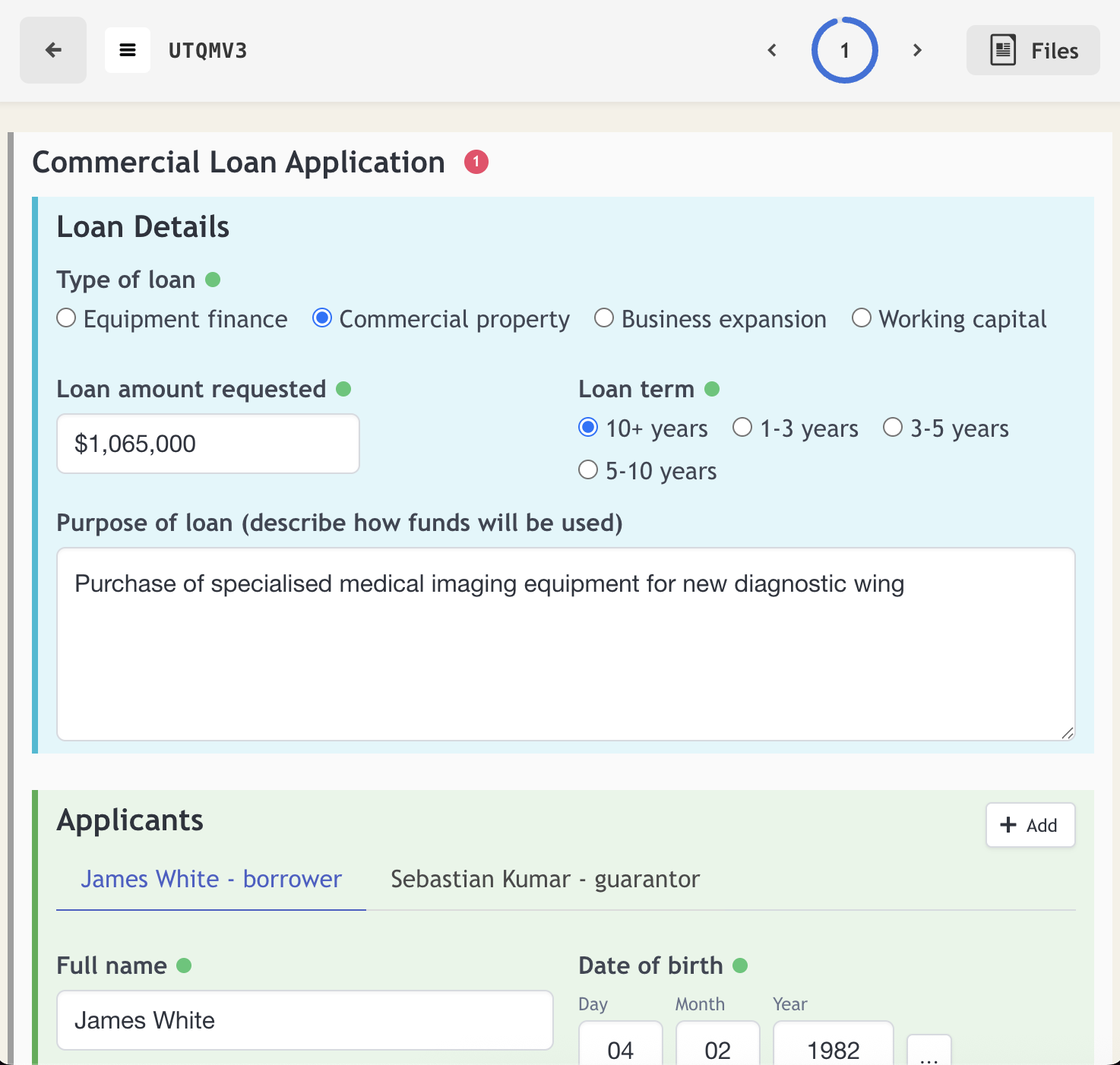 Commercial loan application — structured form with conditional sections and tabbed applicants